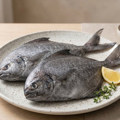 Black Pomfret (Small) / Karuppu Avoli / Kala Pomfret