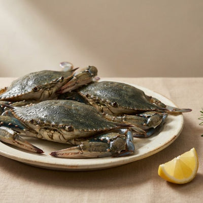 Blue Crab