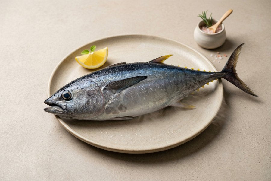 YellowFin Tuna