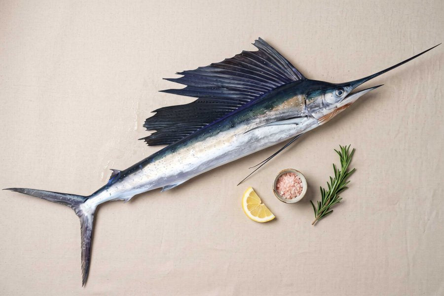 Sail Fish / Ola Meen / Pathri