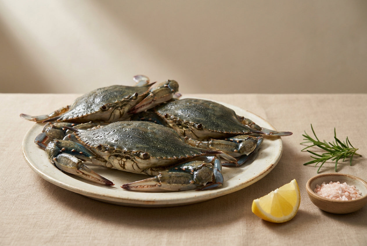 Blue Crab