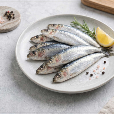 Sardine / Mathi / Tarli