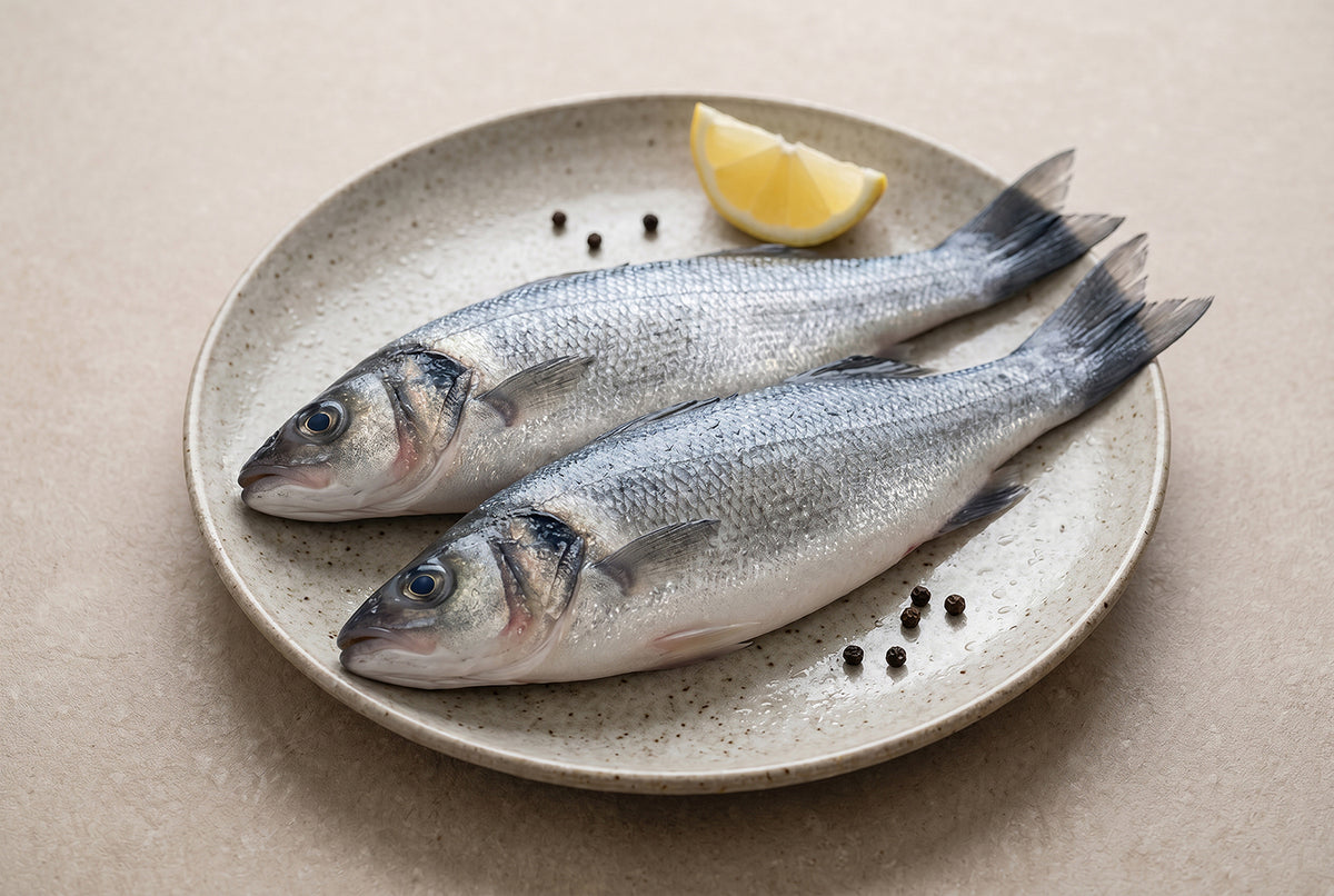 Seabass / Koduva / Bekti / Kalanchi