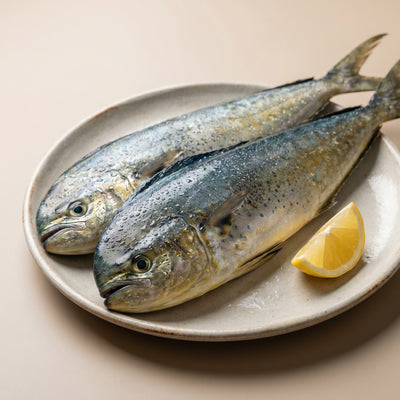 Mahi Mahi