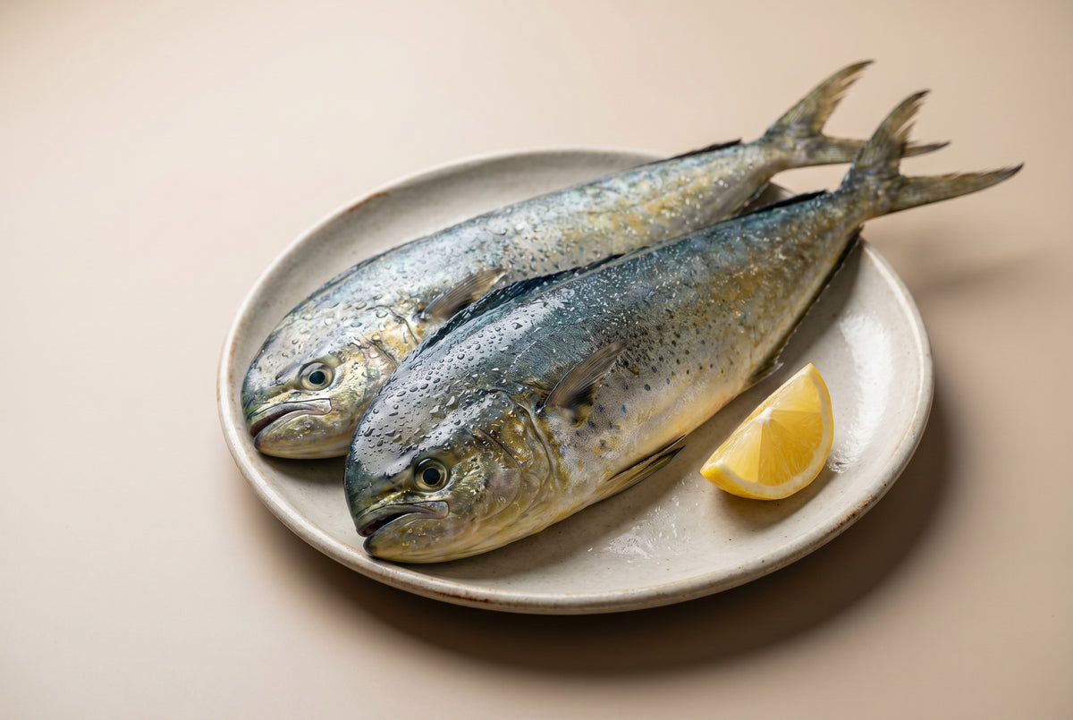 Mahi Mahi