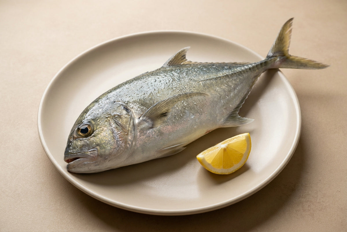 Trevally / Sea Vatta