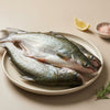 Basa / Pangasius / Pangas / Freshwater Catfish