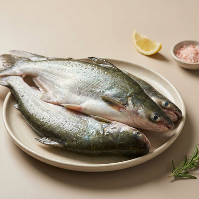 Basa / Pangasius / Pangas / Freshwater Catfish