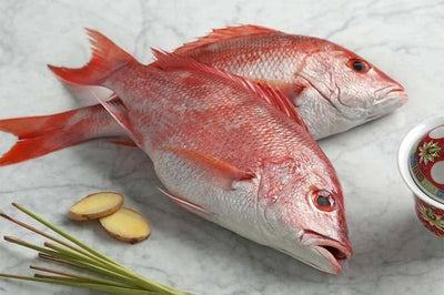 Red Snapper / Chempalli / Rane (Large) (1.5kg to 4.5kg)