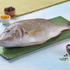 Red Snapper / Chempalli / Rane (Large) (1.5kg to 4.5kg)