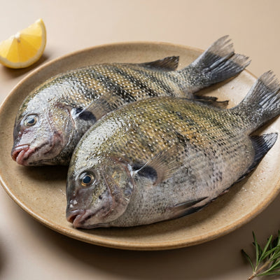 Pearl Spot / Karimeen / Koral