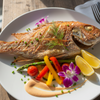 Red Snapper / Chempalli / Rane (Large) (1.5kg to 4.5kg)